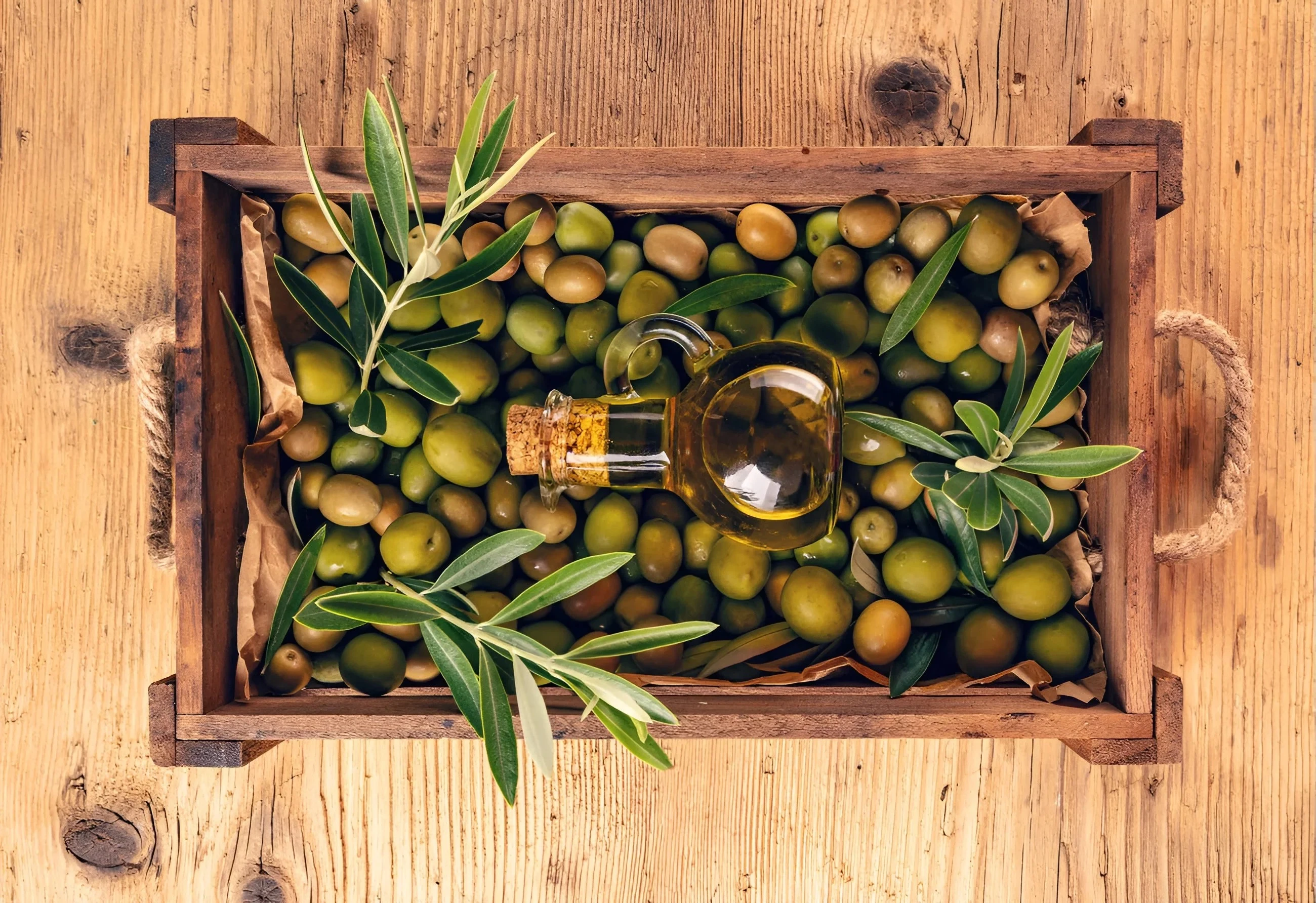 Agriculture image